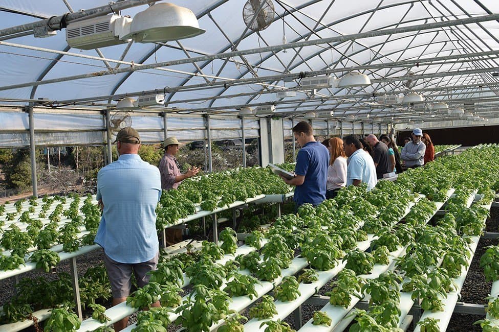Hydroponic agriculture showcases diversity of California Ag production