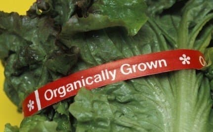 Update on Organic Certification Cost Share Program