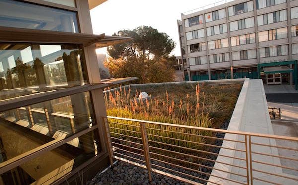 UC Davis Named Most Sustainable University in the World