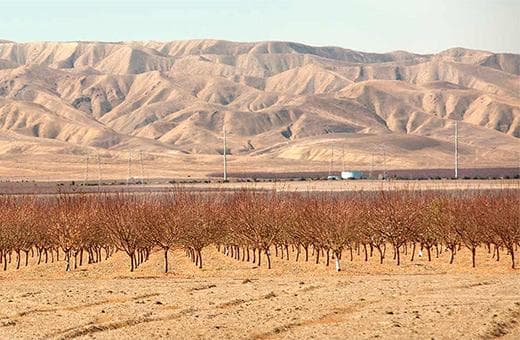 Drought, Flood and Wildfire Experts List