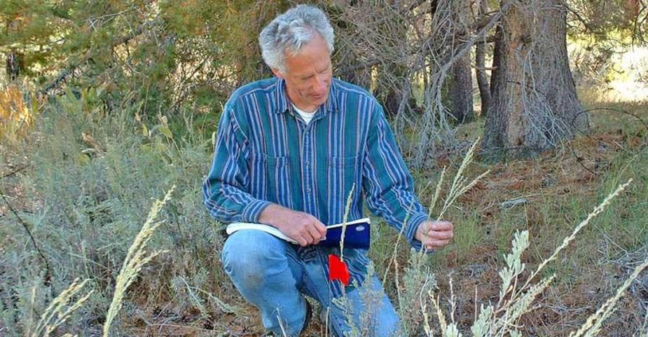 LAURELS: Karban, Stachowicz Are New Ecological Fellows