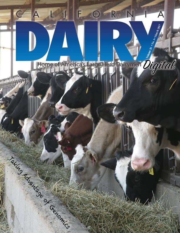 California Dairy Digital Magazine: March Issue