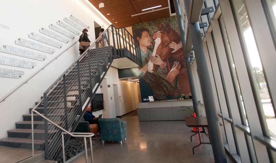 Vet Med Adds Student Services and Admin Center