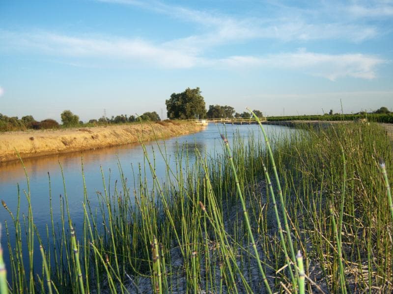 Enough Water For 10 Million Lost Every Year