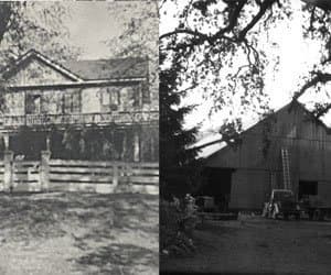Robert Young Estate Vineyard and Winery: 159 Years