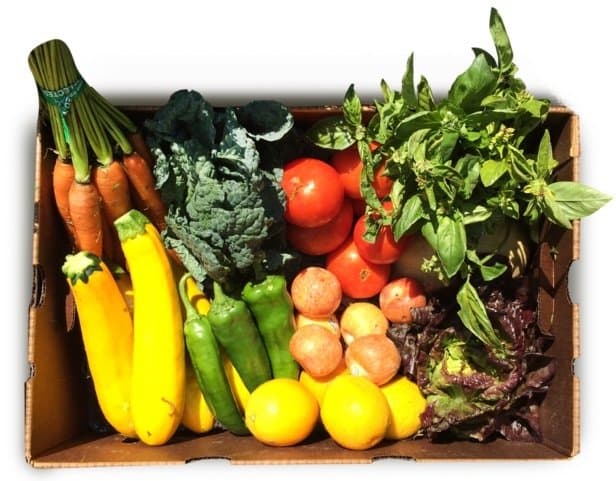 Partnering With Produce Providers