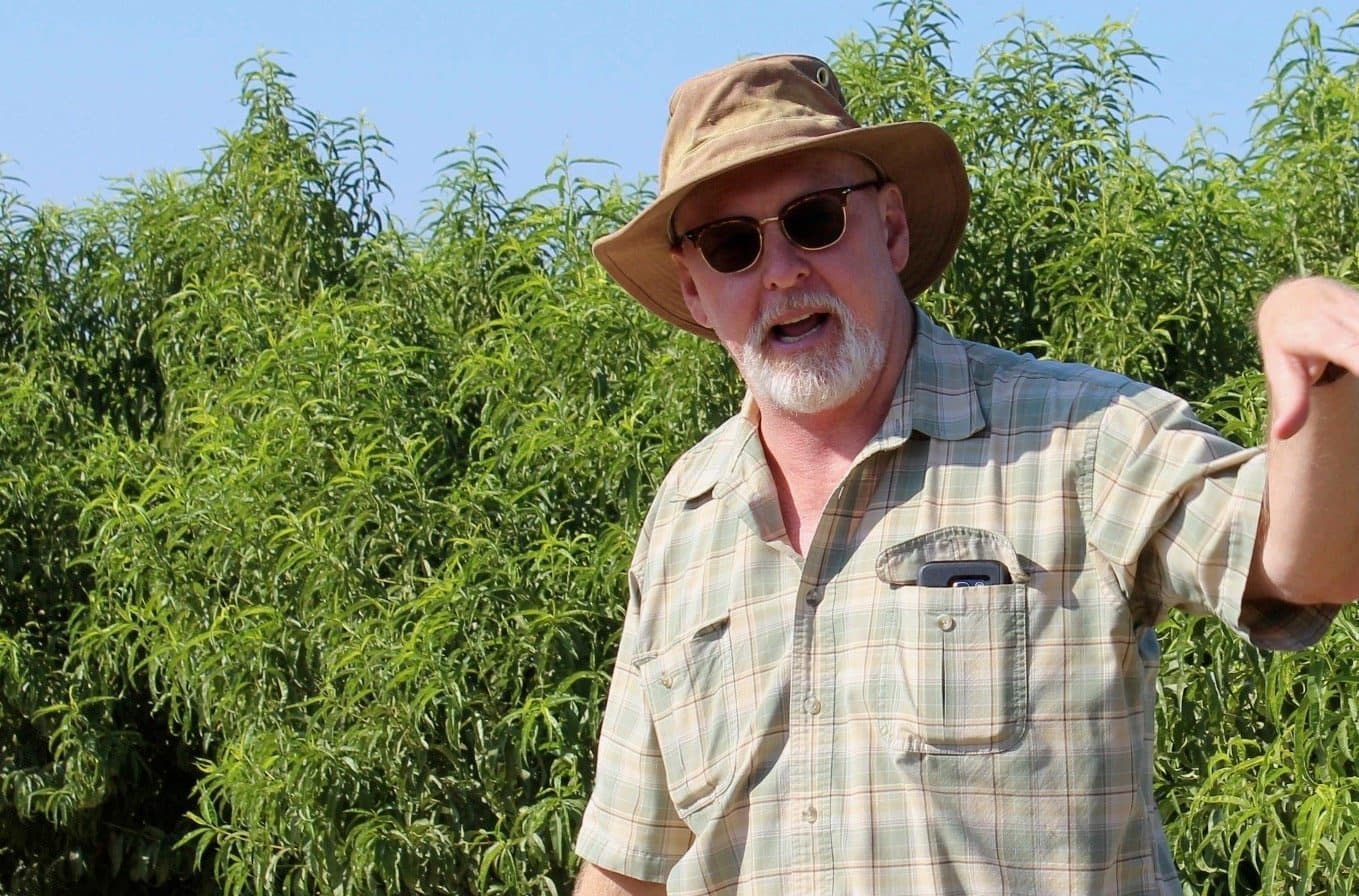 Increase Labor Savings & Fruit Size by Converting to Pedestrian Orchards