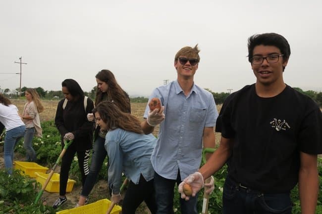 UCCE President Chair for Agricultural Education Formed in Orange County