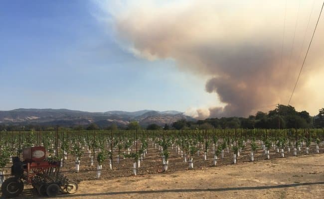 Preparing to Evacuate During Wildfire?  These Checklists Can Help
