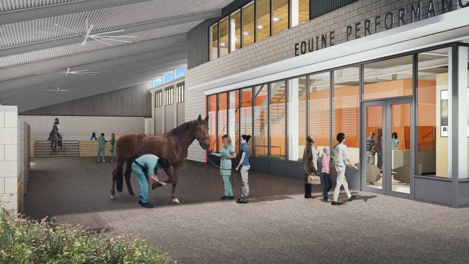 Taking the World’s Best Veterinary Care to the Next Level