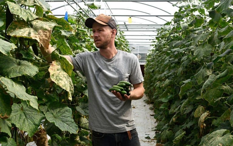 The National Young Farmer Survey – Big Opportunities And Profound Challenges Ahead