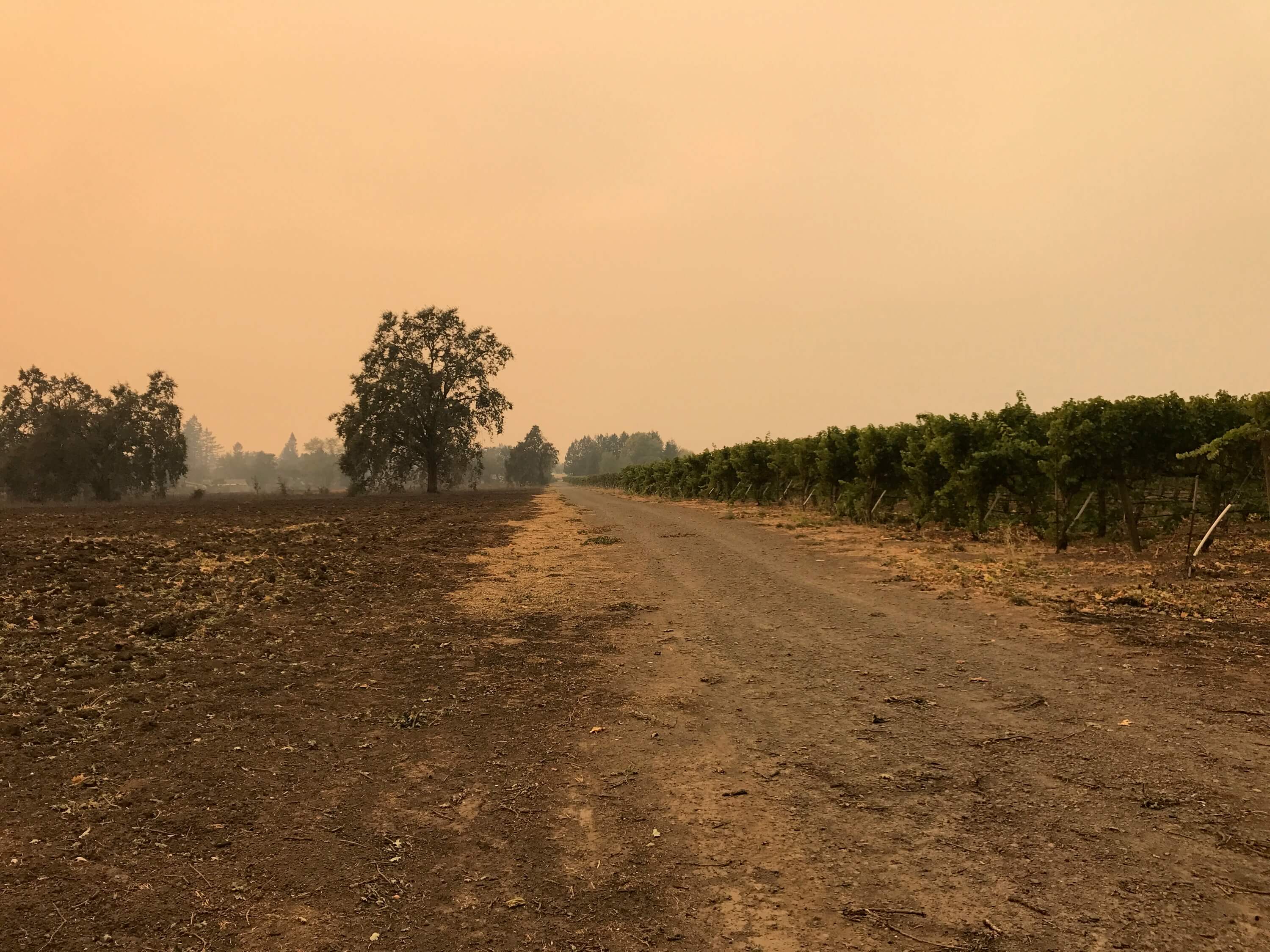 Agriculture’s Response in a Crisis