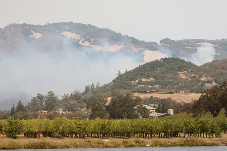 USDA NRCS Fire Recovery Programs Continue in California