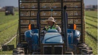 US Farmers Need Sound Immigration Policy For Agricultural Workforce