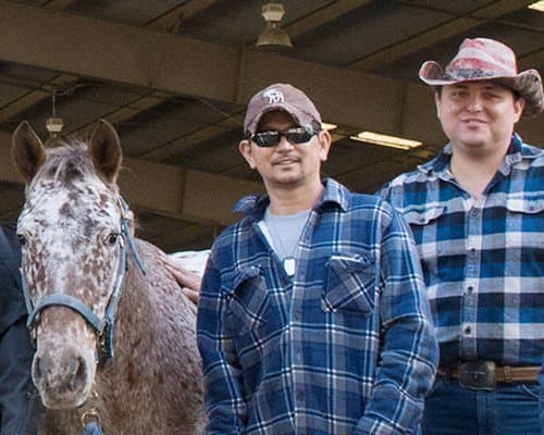 Veteran Students, Horses Partner in Care at UC Davis