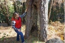 Newly Minted UC Fire Scientist Kate Wilkin Moves Into Fire Country