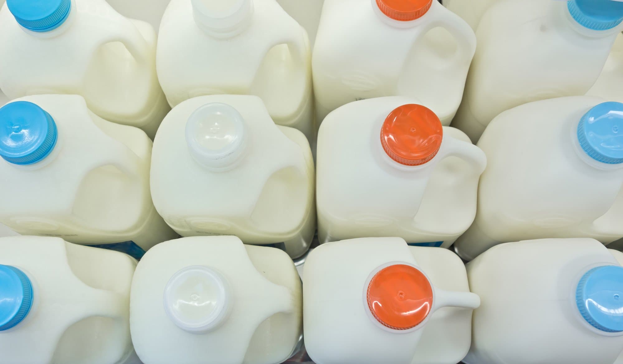 USDA Moves to Assure Producers Can Vote on FMMO This Year