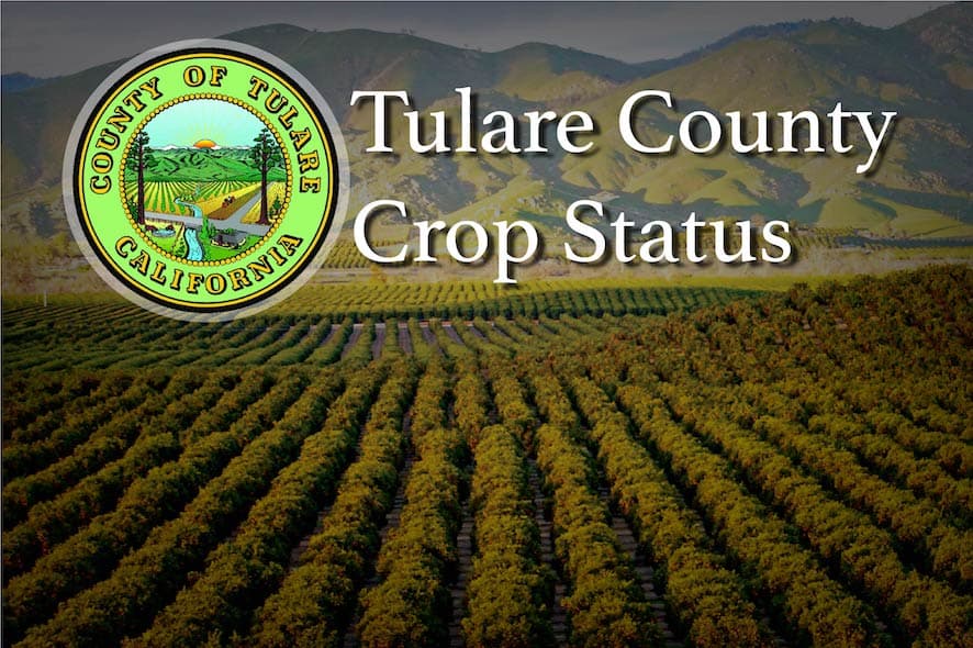 Tulare County Crop Report (For the week ending December 28, 2019)