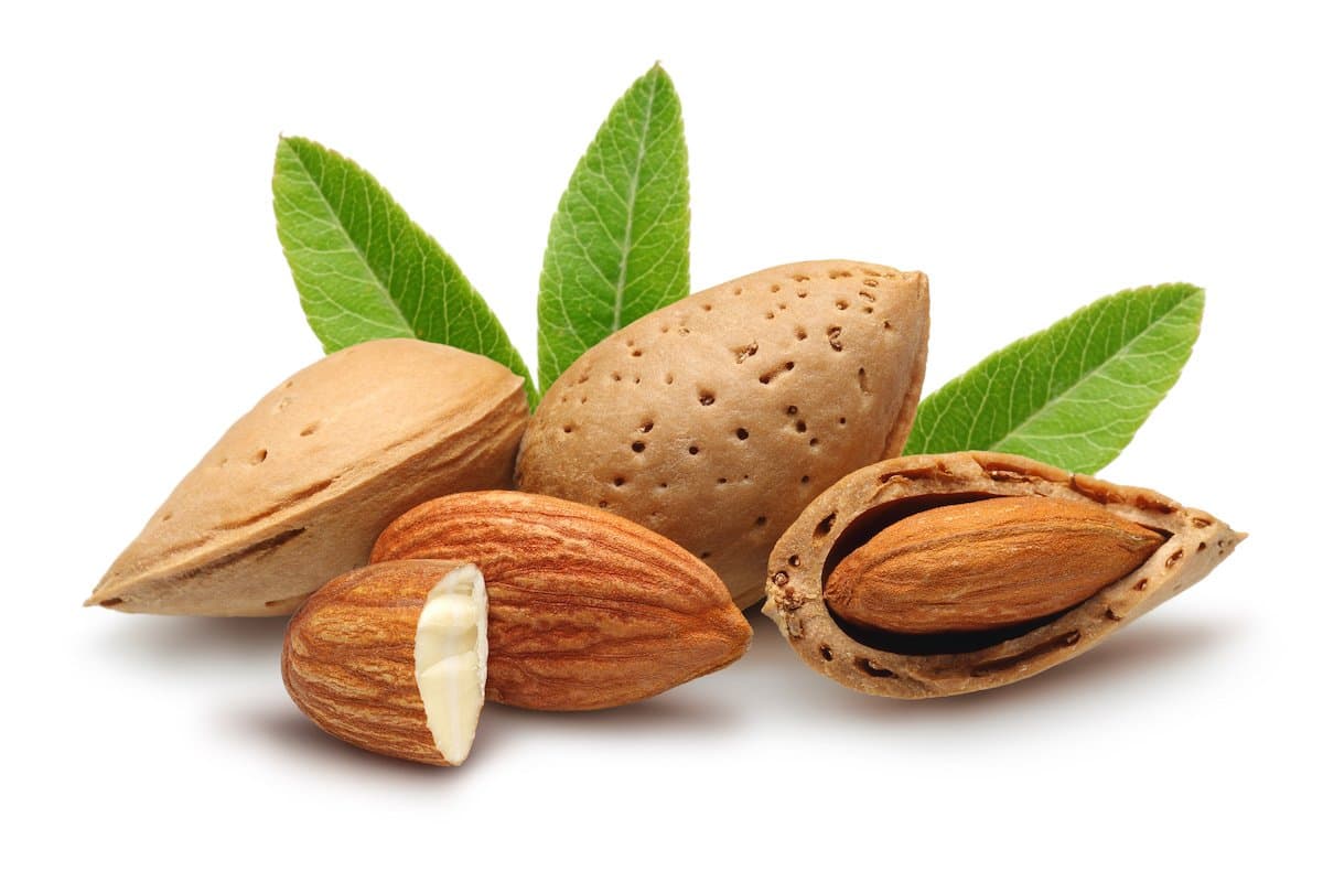Nuts for Calories!