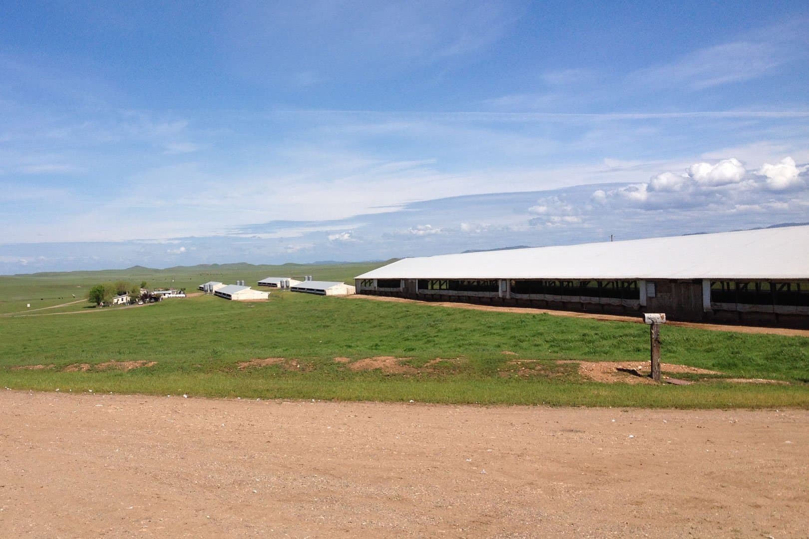 People, Poultry and Planet: Petaluma Poultry Is a Leader in the Poultry Industry