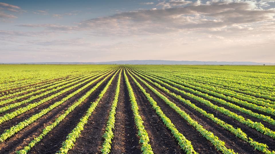 Bayer Collaborates With UC Davis Venture Catalyst to Support Regional Innovation and Entrepreneurship