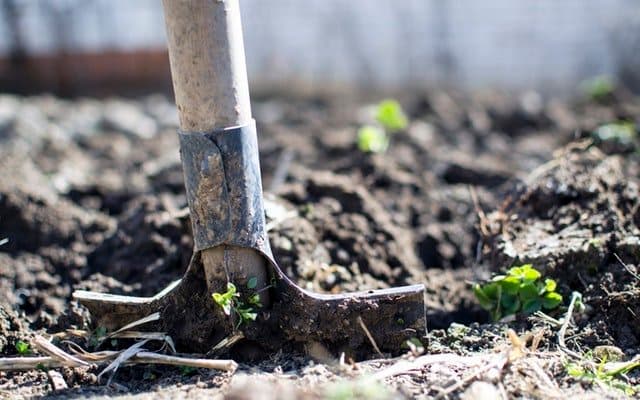 CDFA Announces Grant Funding Available For Healthy Soils Program