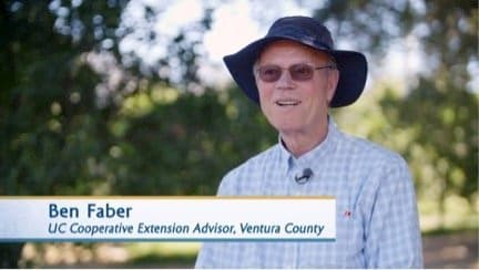 Mandarin Drought Tips Featured in Final Video of Drought Series