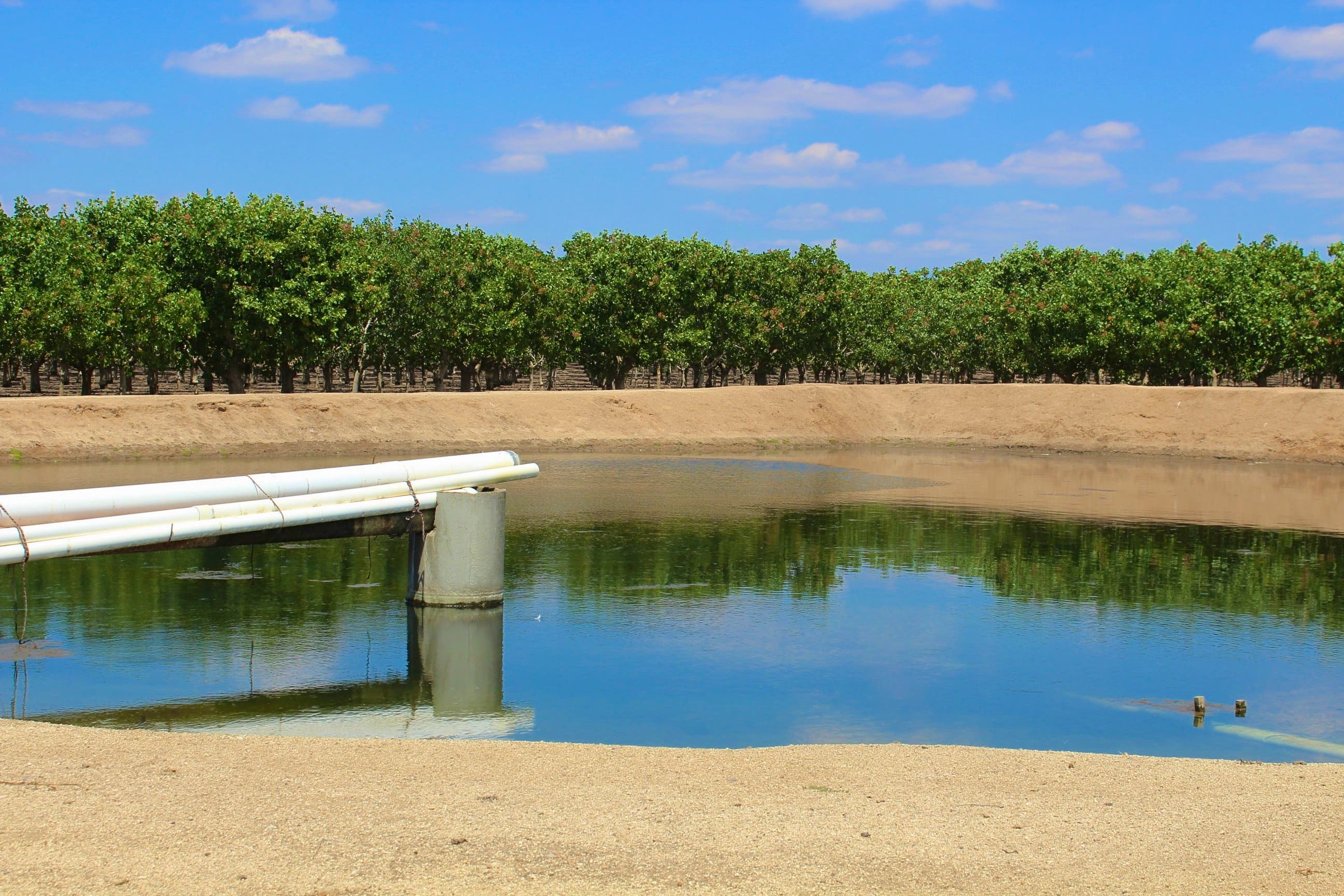 Unplanned Effect of the Sustainable Groundwater Management Act