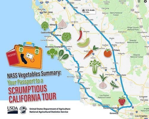 Road Trip! “Scrumptious California Tour” Shows Foodies The Salad Bowl Of The World