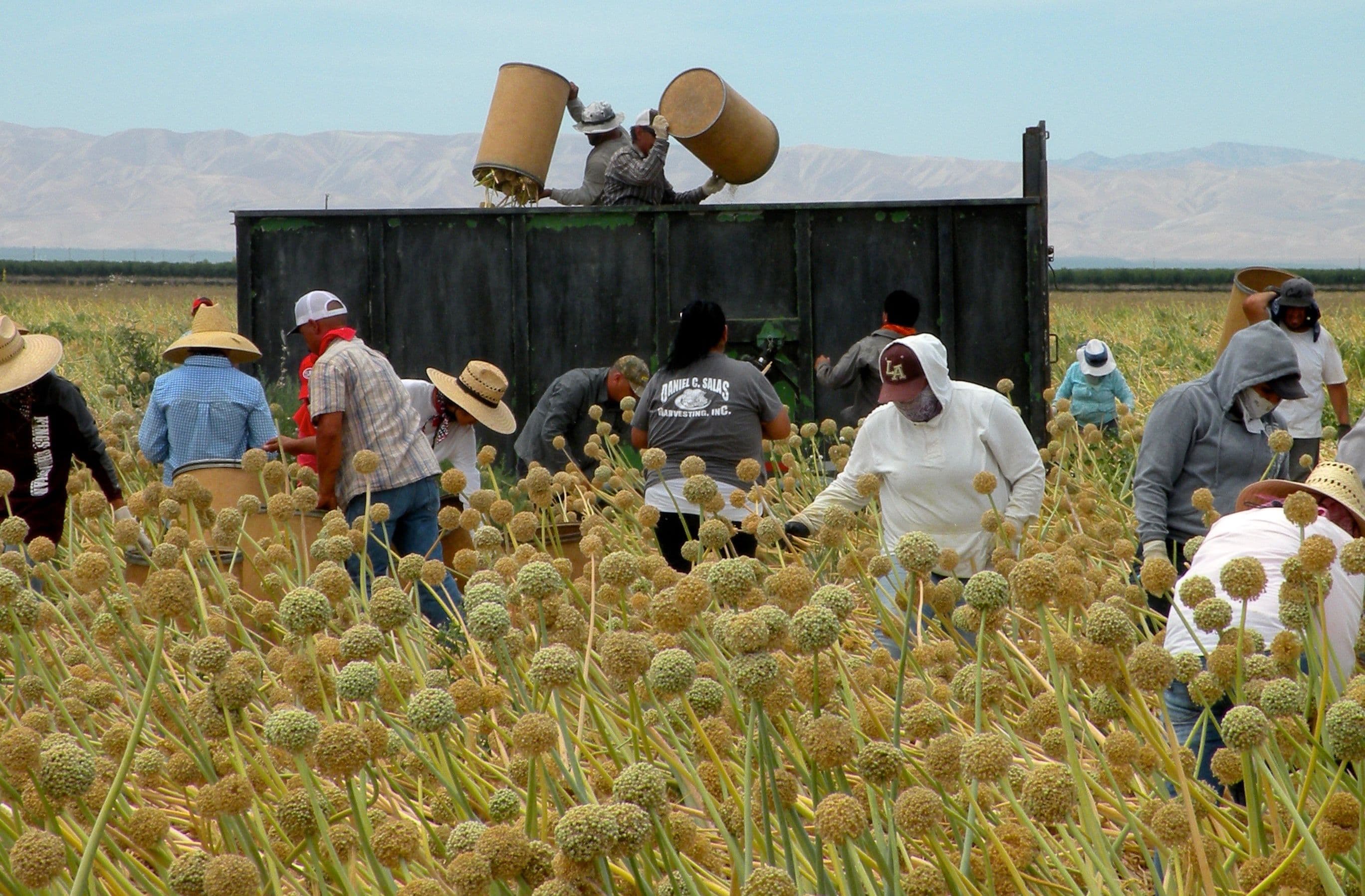 Western Growers’ Statement on Administration’s H-2A Reform Initiative