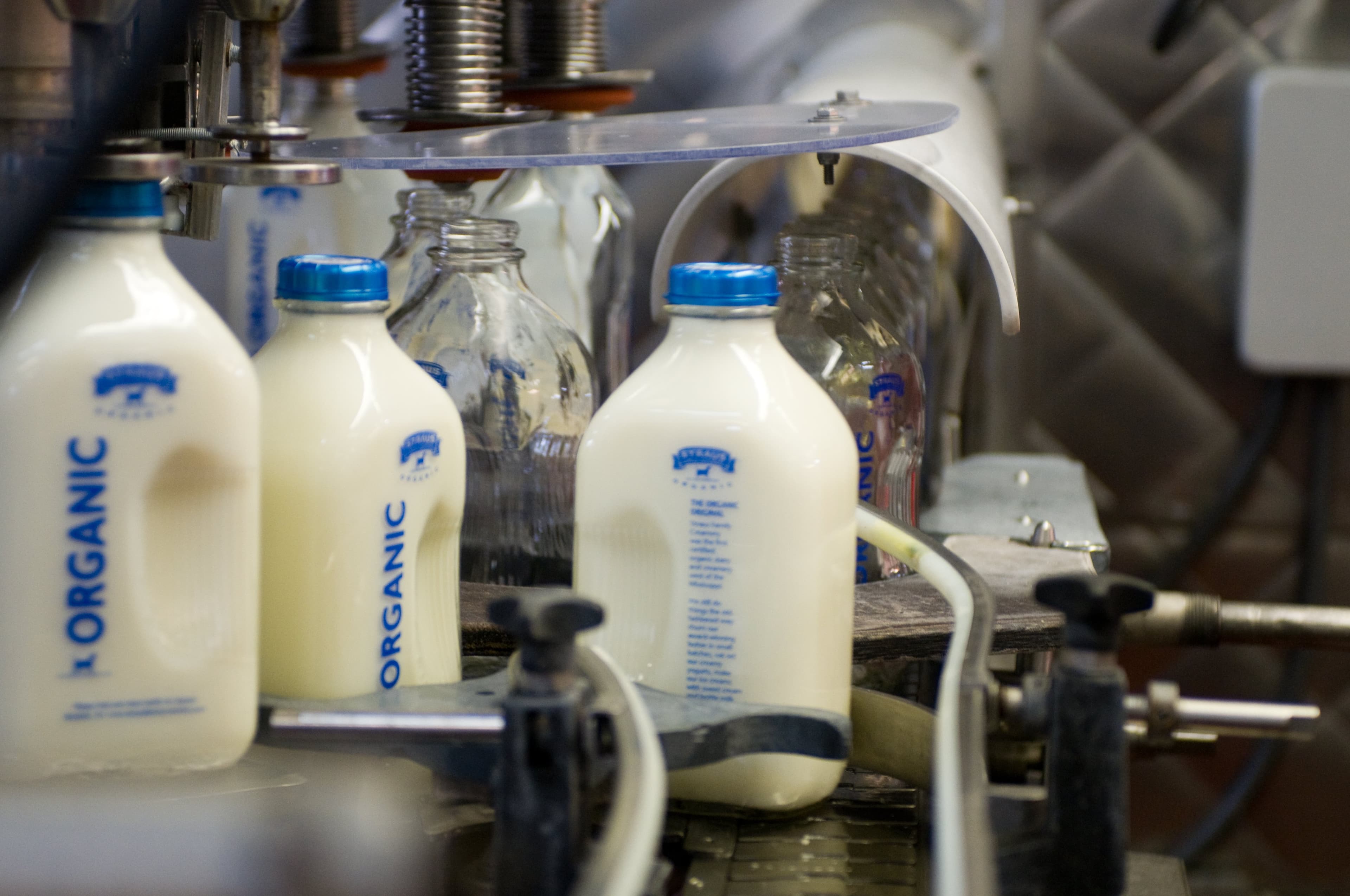 Straus Family Creamery Unveils Organic Barista Milk for Culinary Professionals