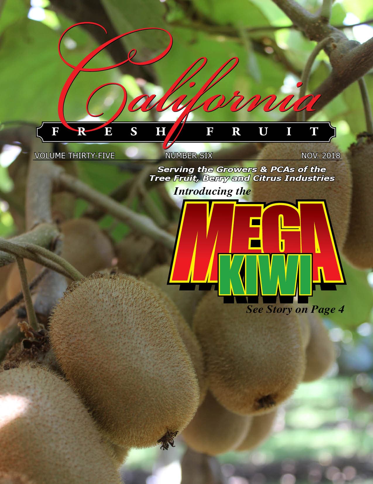 California Fresh Fruit Magazine – November Issue – Read It Here!