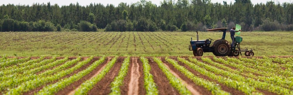 Forces That Will Shape the U.S. Rural Economy