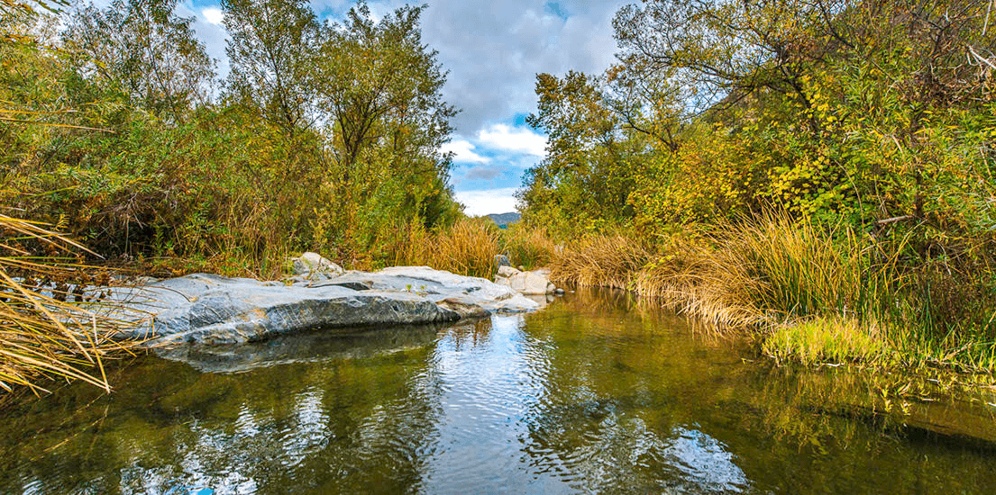 California Farm Water Coalition Statement on New Biological Assessments
