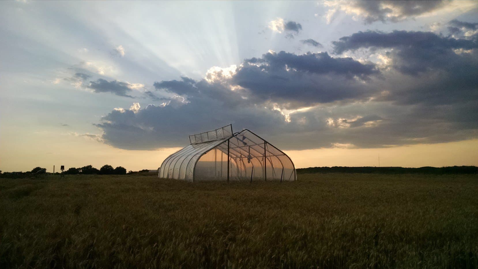 Why do we need to keep breeding new crop varieties?