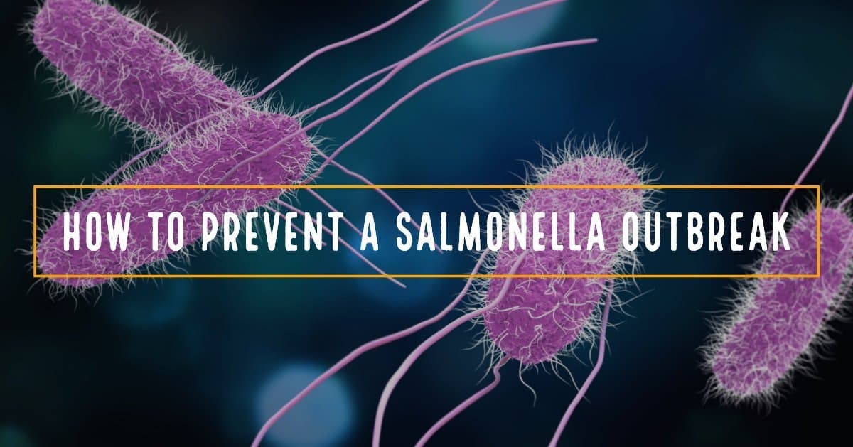Salmonella – The Most Common Bacterial Foodborne Disease