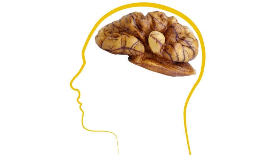 New Research Explores Walnuts & Mental Health