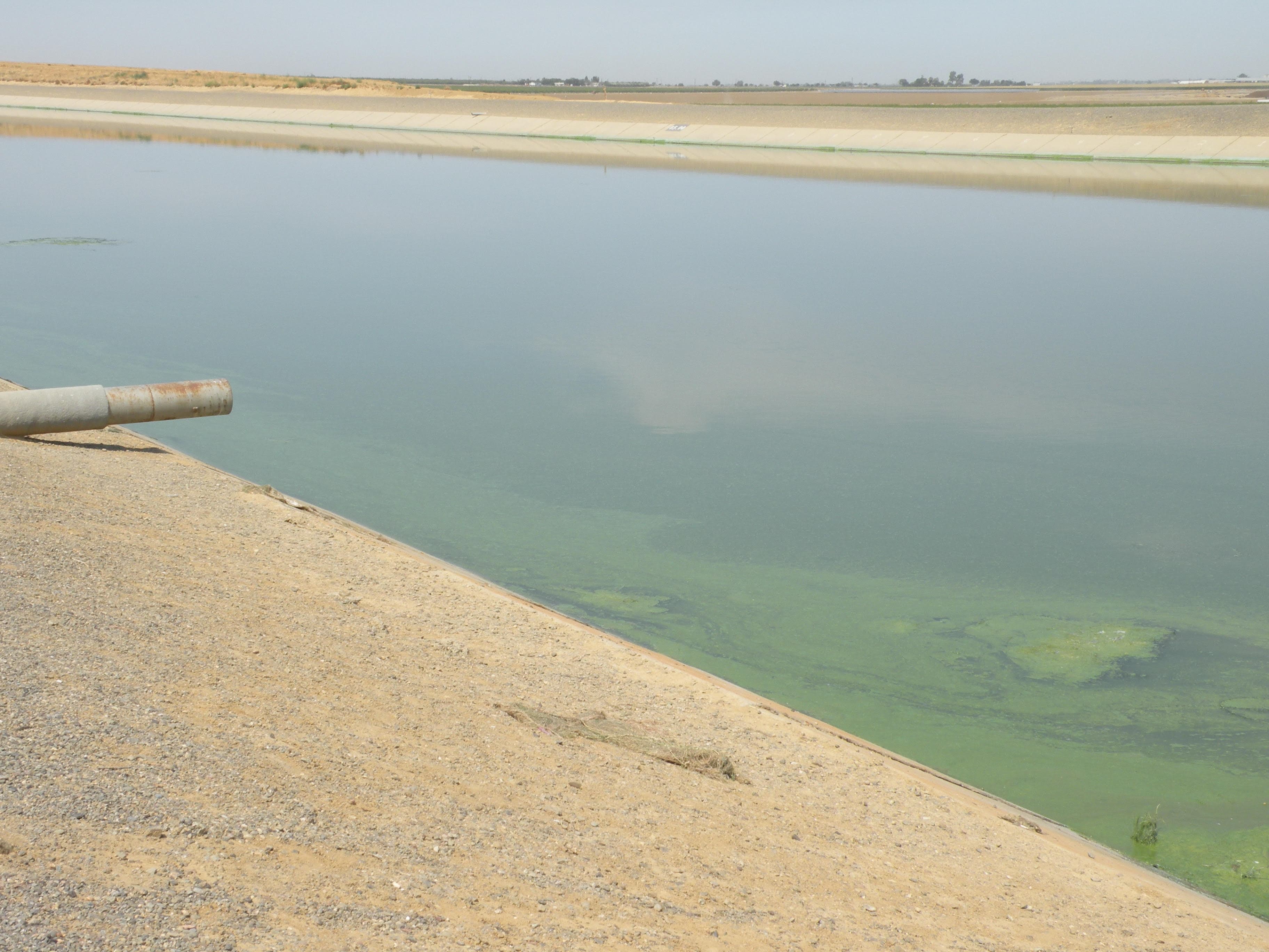 Statement on Bureau of Reclamation’s April Allocation Announcement
