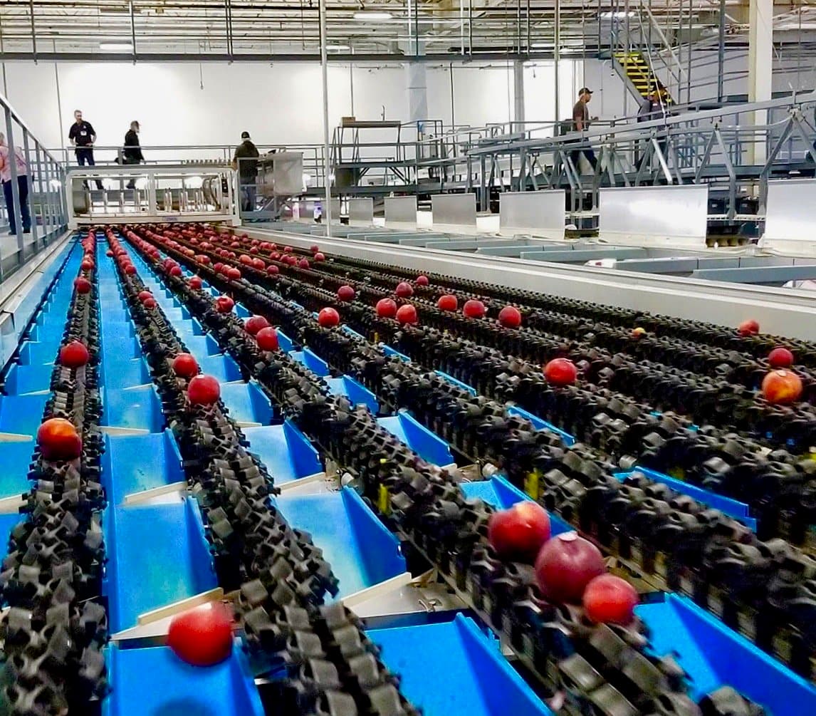 Wawona Begins Promotable Stone Fruit Volumes