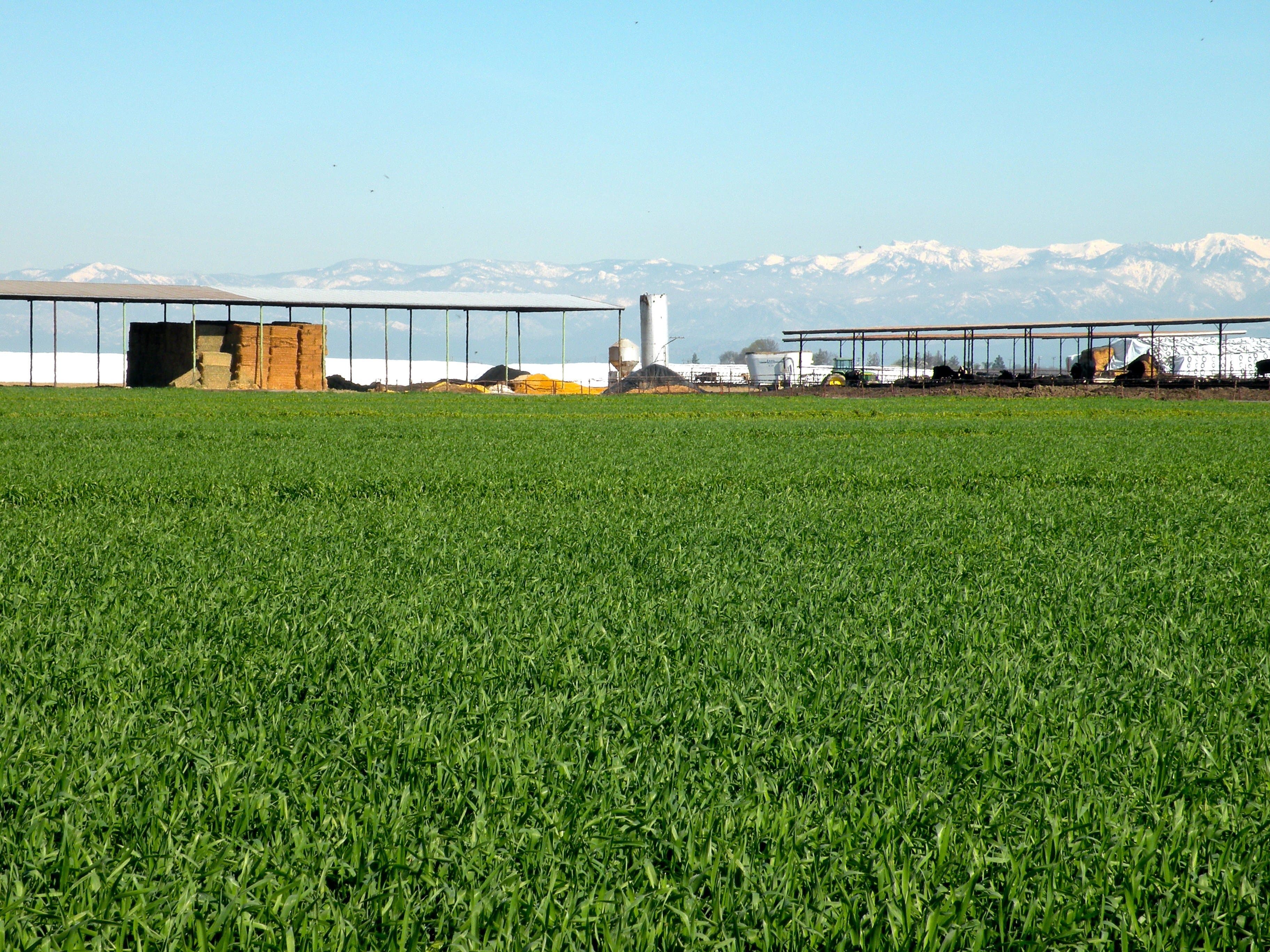 USDA Seeks Feedback from California and Nevada Growers about 2019 Crops, Stocks, Inventories,  and Values