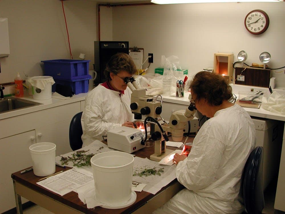 Plant Protection & Quarantine Releases 2018 Annual Report