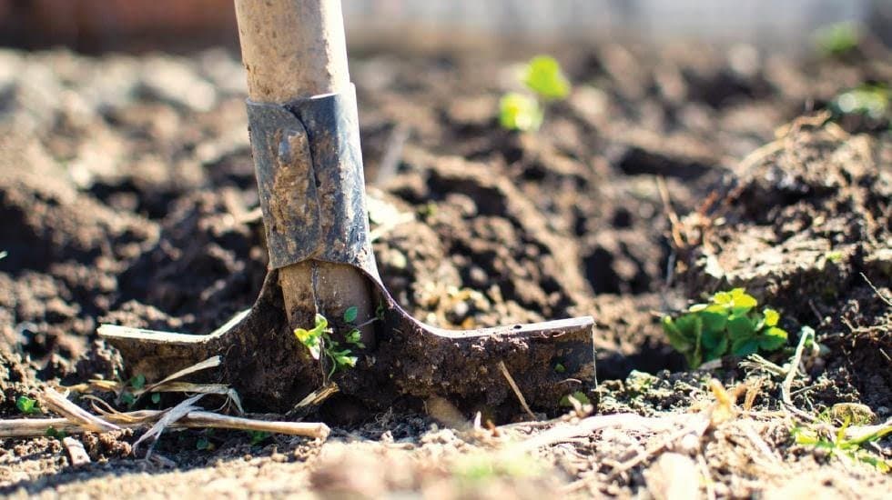USDA Seeks Five Nominees for the National Organic Standards Board