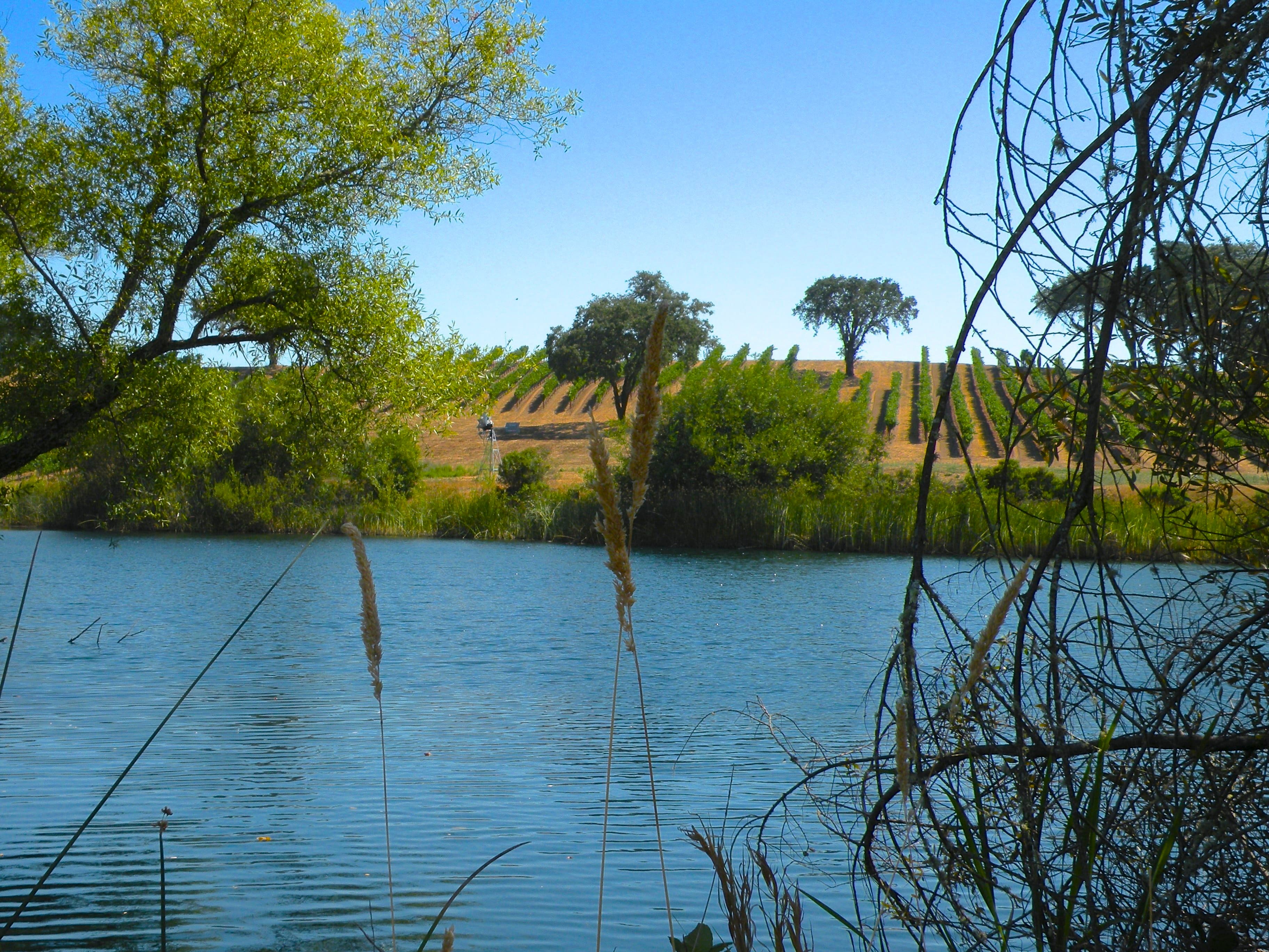 USDA Offers Producers Options to Re-enroll or Extend Expiring CRP Contracts