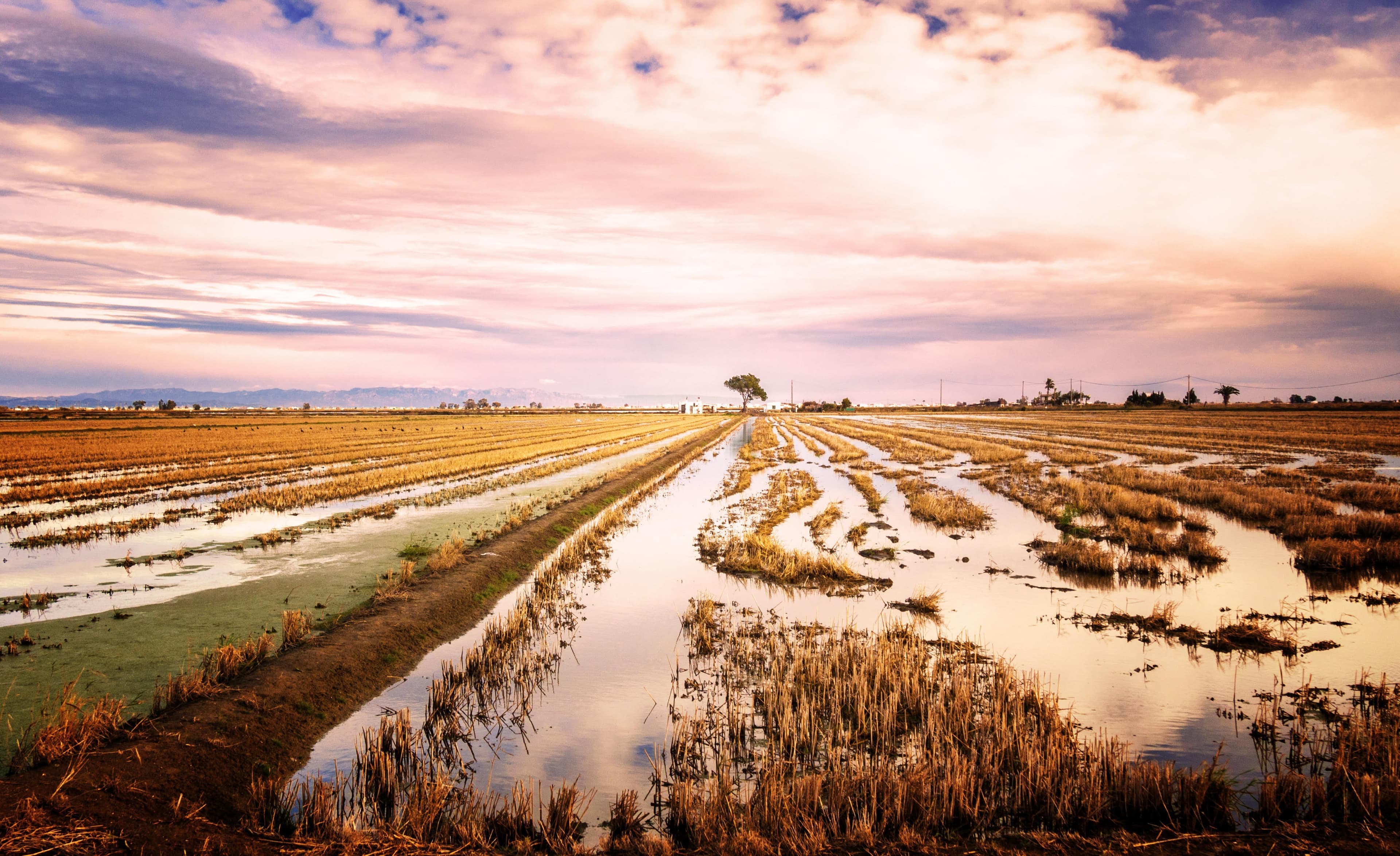 Farmers Prevented from Planting Crops on More than 19 Million Acres