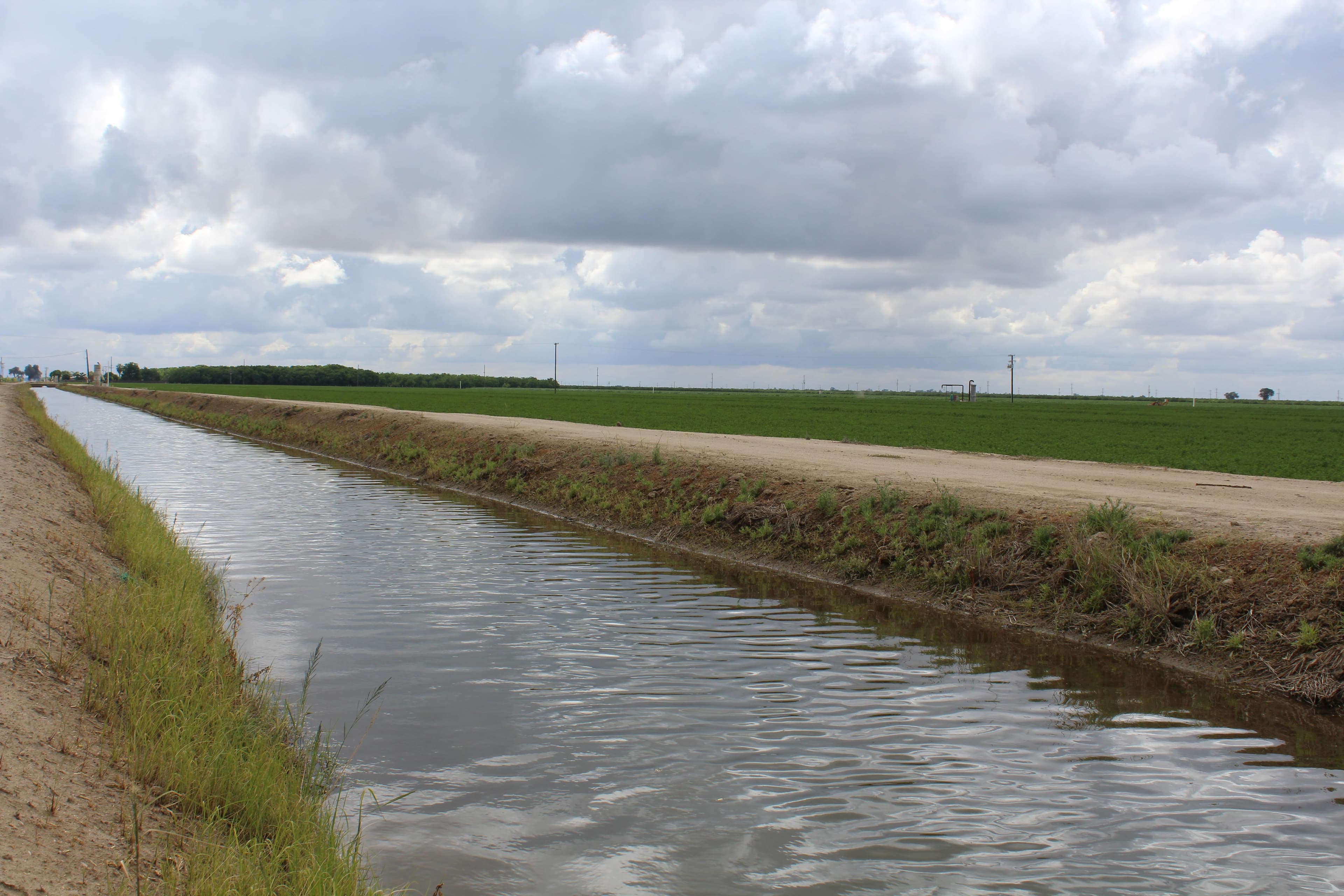 American Farmland Trust to Expand SJV Land & Water Strategy with Conservation Grant