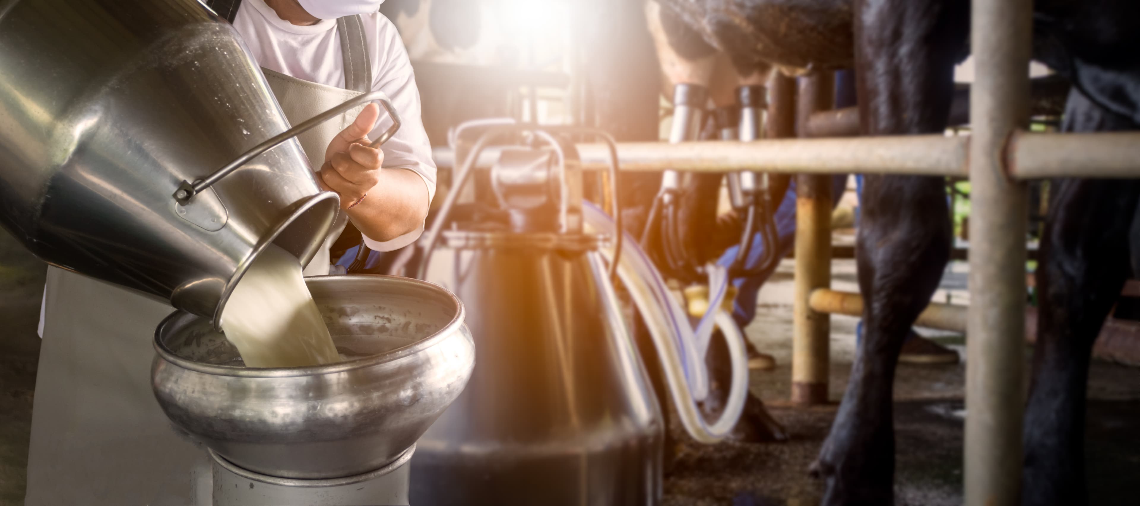 Real California Milk Accelerator Competition to Drive Innovation in Dairy Milk Category