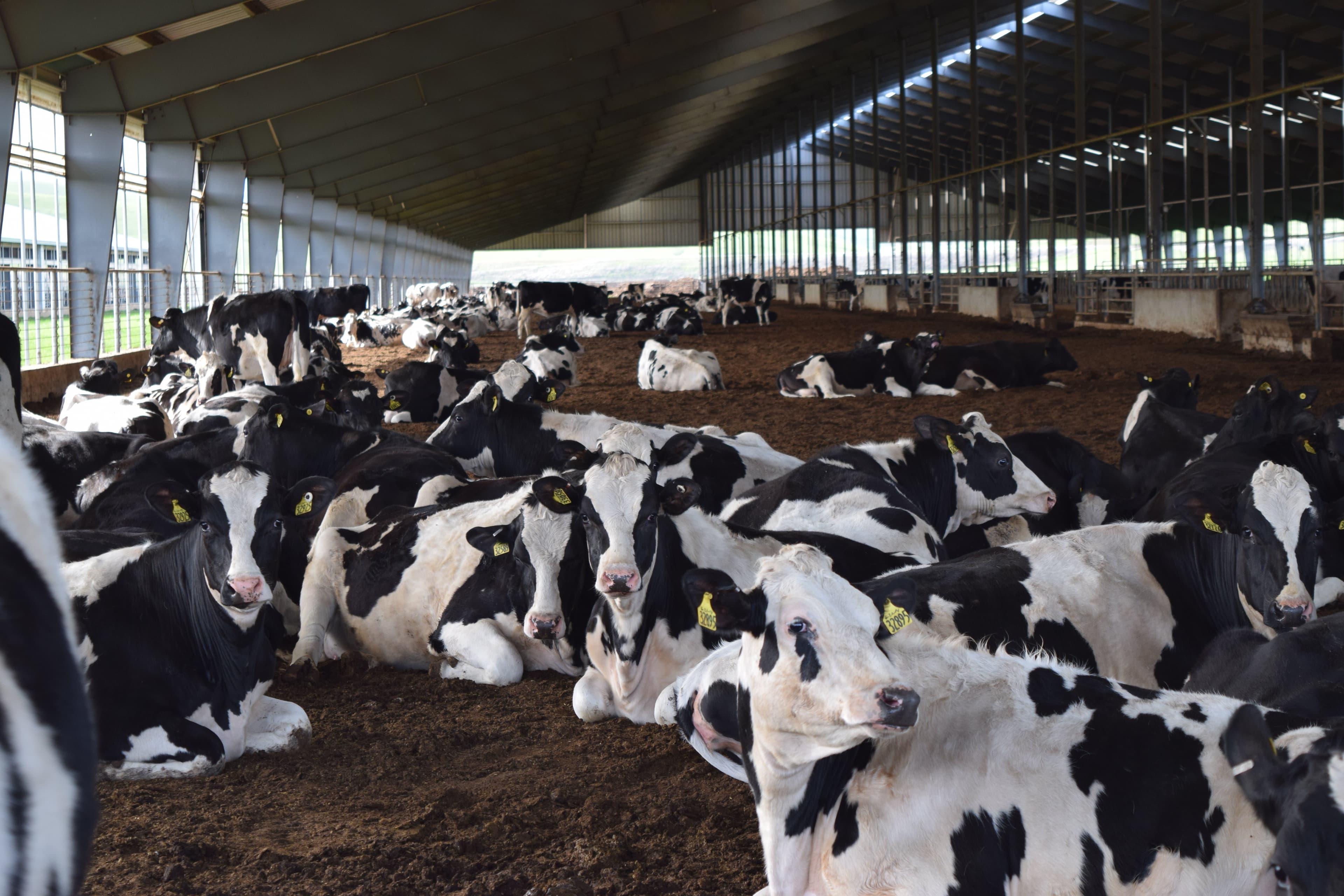 California Milk Advisory Board Announces 2019 Annual Meetings