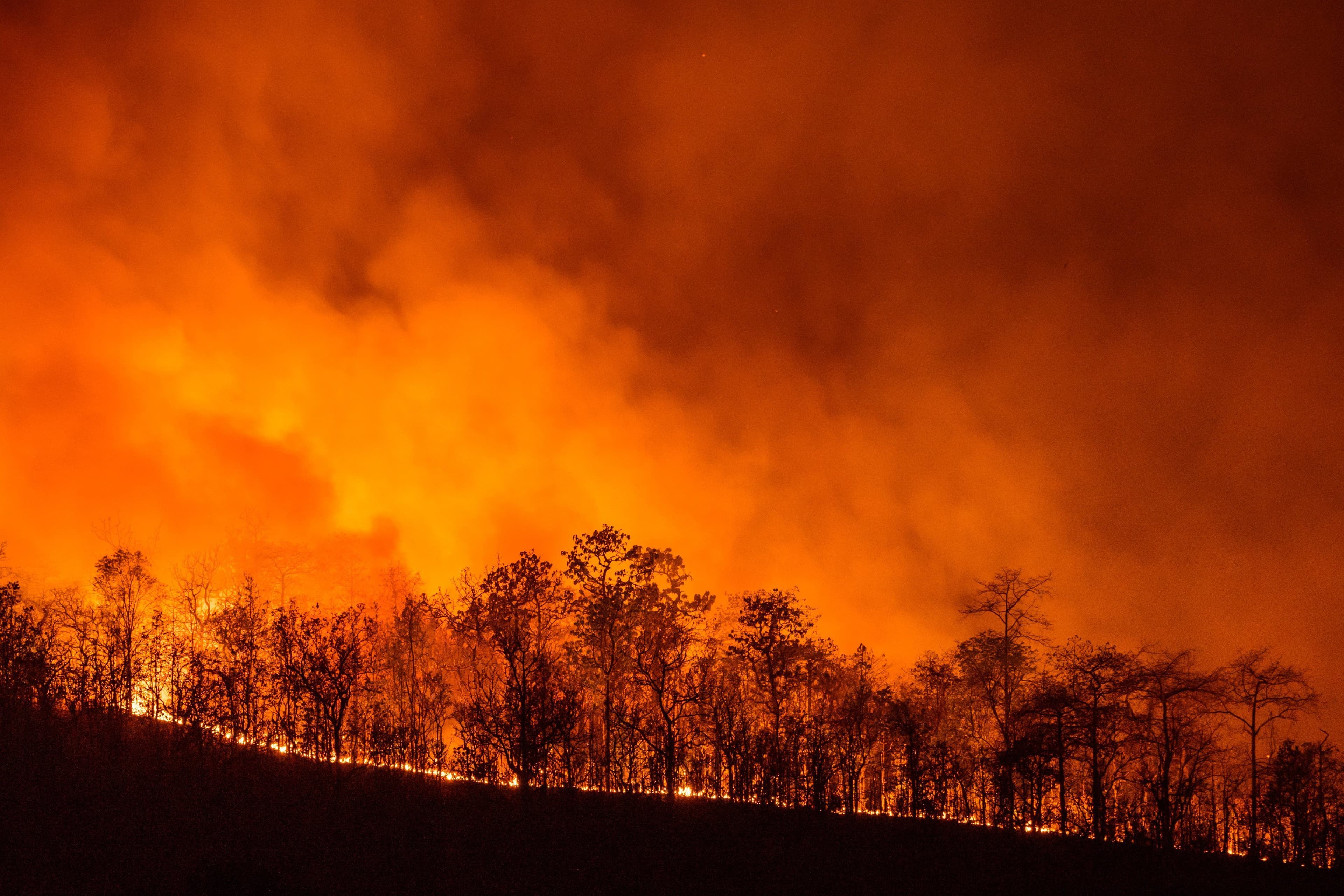 Governor Announces CA Wildfire Safety & Catastrophe Response Task Force