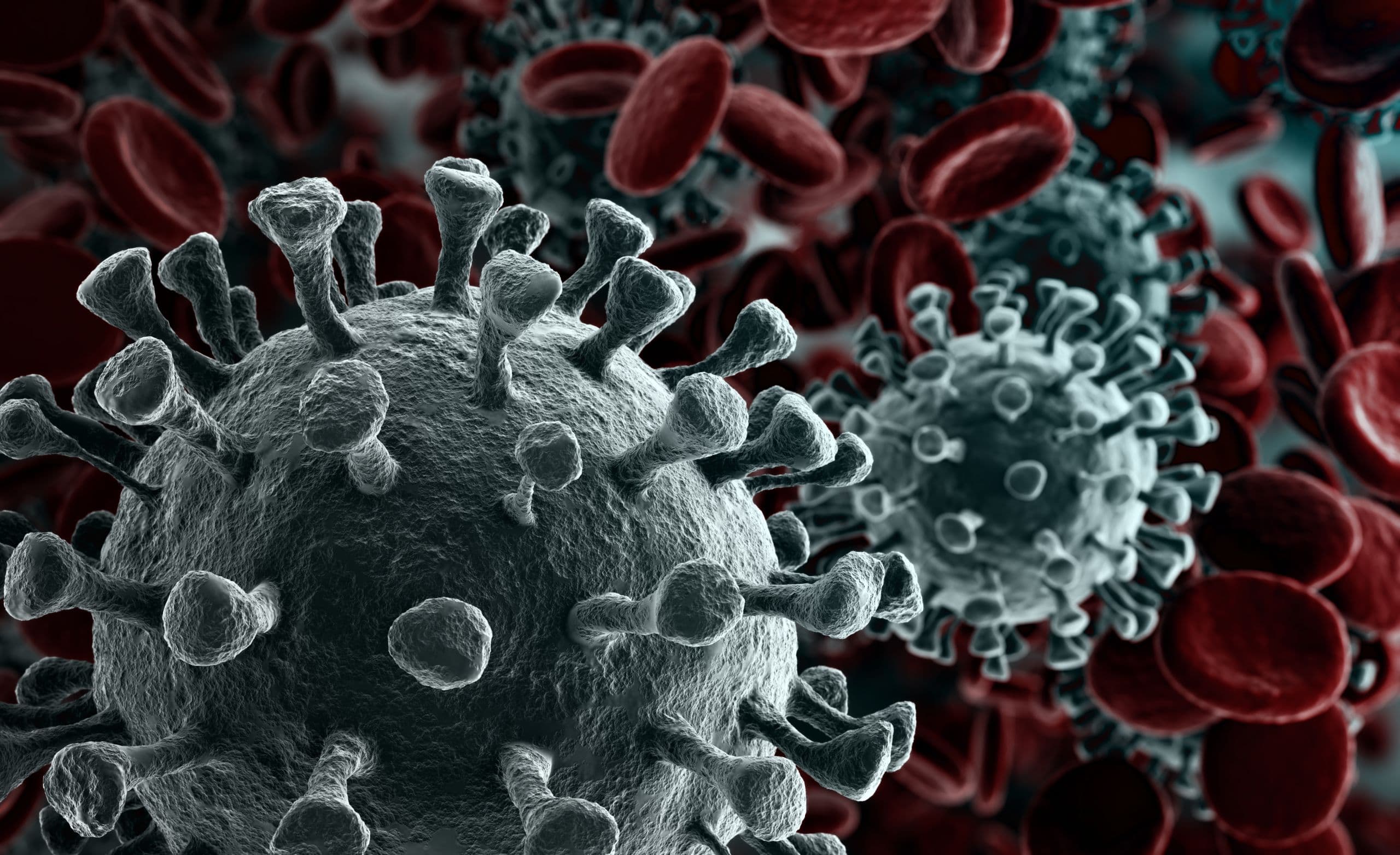 Guidance to Prevent the Transmission of COVID-19 in Food and Beverage Venues