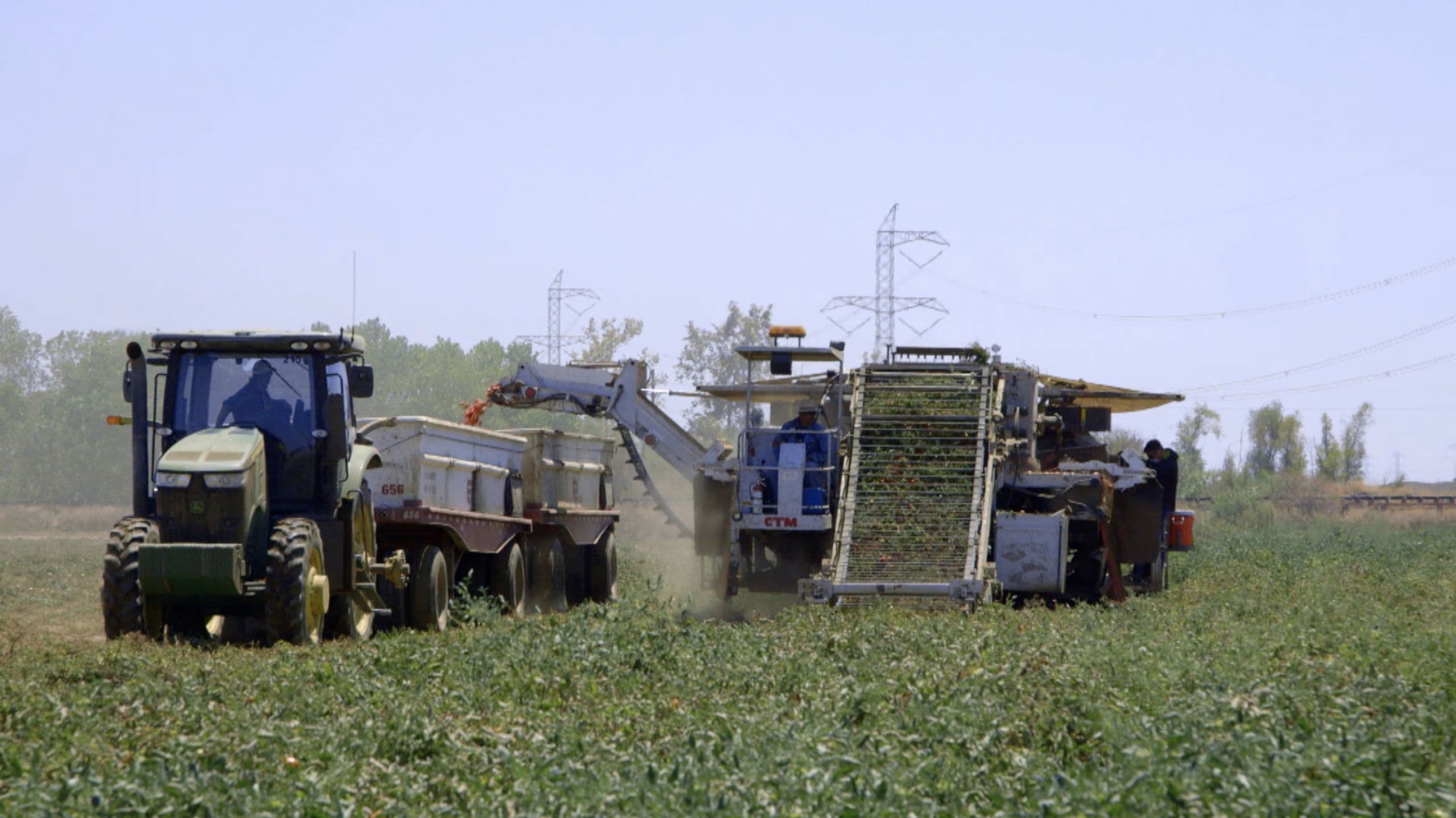 CA Processing Tomato Growers Anticipate Better Year as Supply Comes Back into Balance